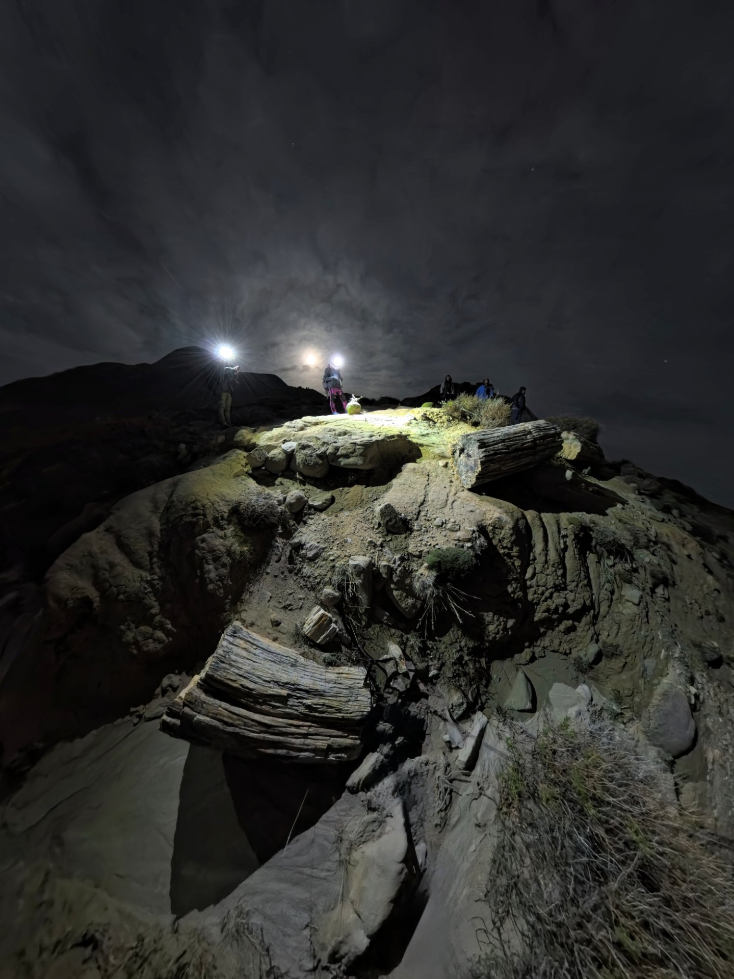 Bosque Petrificado La Leona - Moonwalker
