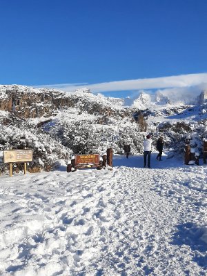 Salida de regreso